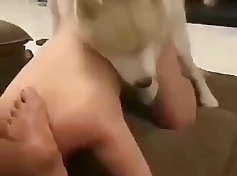 Porn