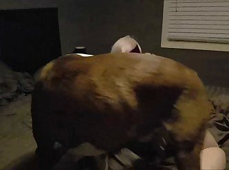 Zooporn