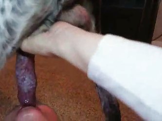 Girl Fucks Dog