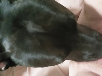 Knot Porn
