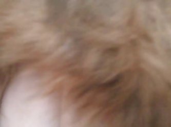 Zooxhamster