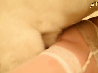 Bestiality Taboo