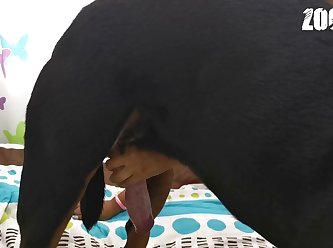 Is It Safe To Fuck Your Dog