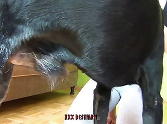 Hubby Watches Wife Fuck Dog