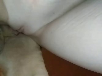 Woman Is Teaching Her Dog How To Fuck Her