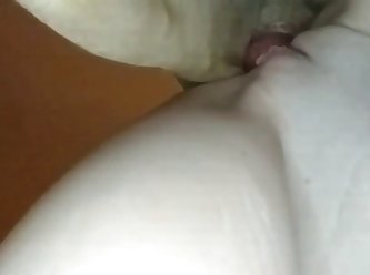 Woman Is Teaching Her Dog How To Fuck Her