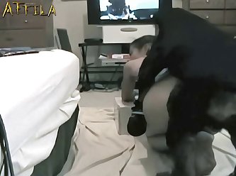 Up Close Dog Fuck