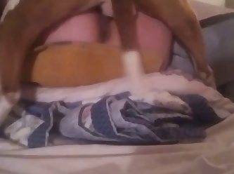 Cougar Fuck Dog