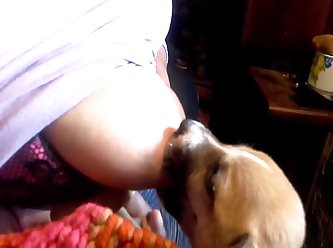 Xxx Fuck With Dog