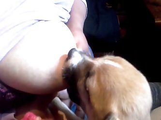 Xxx Fuck With Dog