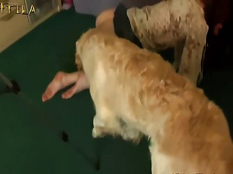 Latina First Time Dog Fuck