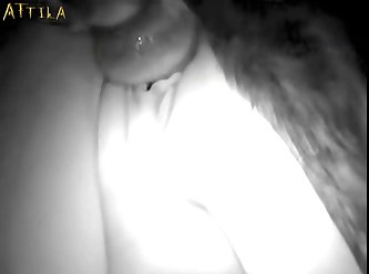 Pregnant Fuck Dog Porn