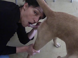 Dog Fuck Anal Knot