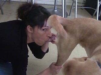 Dog Fuck Anal Knot