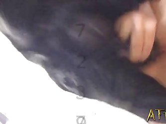 Most Recent Man And Female Dog Fuck