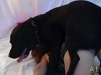 Most Recent Man And Female Dog Fuck