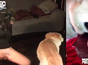 Aunt Fuck Dog