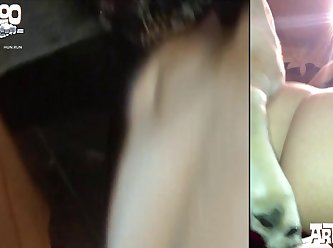 Aunt Fuck Dog