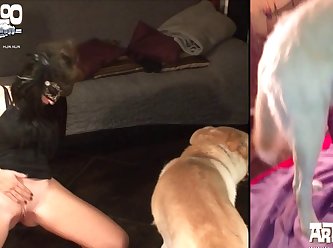 Monica Fuck Dog