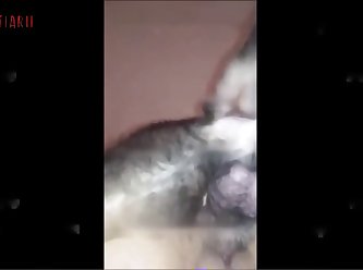 Schoolgirl Fuck By Dog