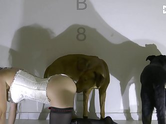 Hot Blond Fuck Dog