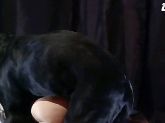 Dog Fuck Small Pussy
