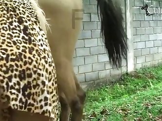 Filming My Wife Fuck Our Dog