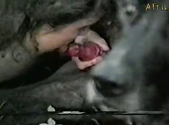 You Cant Fuck That Little Ass Dog