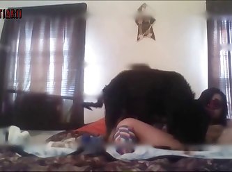 Animal Dog Fuck Girl