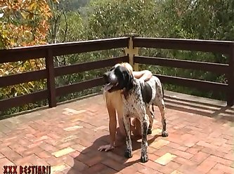 Futa Dog Fuck