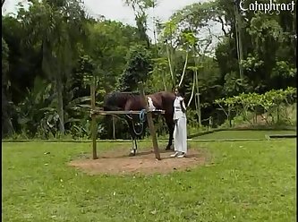 Slave Forced To Fuck Dog