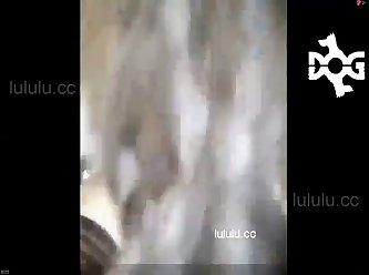 Xvideo Fuck Dog