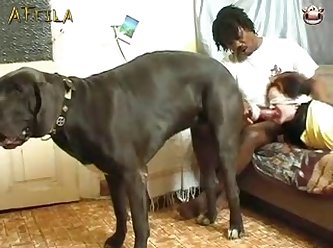 Latest Dog Fuck