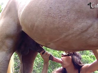 Teen Fuck Dog After School