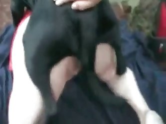 Crazy Dog Fuck Girl