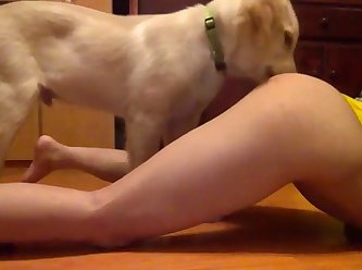 Fuck A Dog Gif