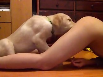 Fuck A Dog Gif