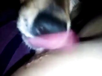 Husband Watches His Wife Fuck A Dog