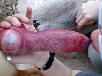Squirtsquid Fuck Dog