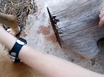 Squirtsquid Fuck Dog