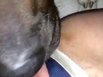 Luxure Dog Fuck