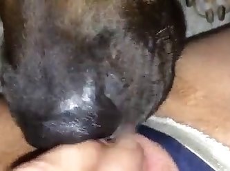 Luxure Dog Fuck