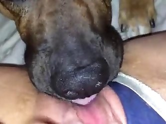 Luxure Dog Fuck