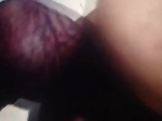 Girl Forced By Dog To Fuck