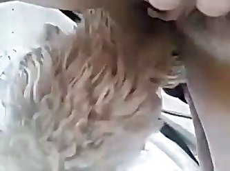 Hd Dog Fuck Girl