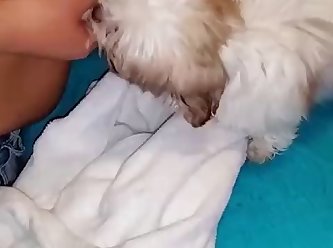 Man Fuck Dog And Cum