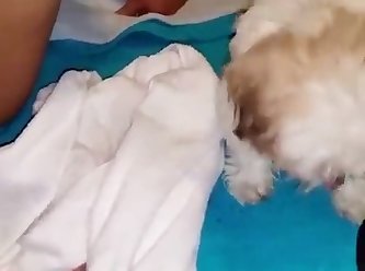 Man Fuck Dog And Cum