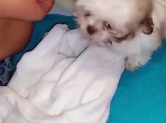 Man Fuck Dog And Cum