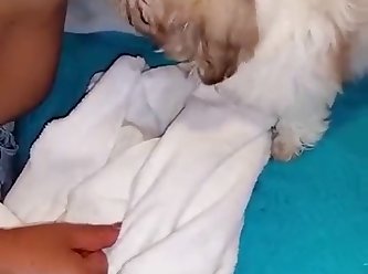 Man Fuck Dog And Cum