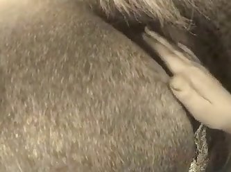 Dog Fuck Woman Twitter